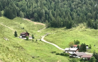 Photo: Hiking to the Walleralm at the apartment house of your vacation apartment on vacation with your dog in Söll Tirol Wilder Kaiser.