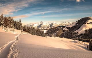 Photo: Winter hiking at the vacation apartment of Appartement Haus Söll Tirol Wilder Kaiser Austria on vacation with dog.