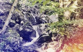 Photo: Rehbachklamm gorge from Appartement Haus Söll your vacation apartment on vacation with your dog in Tyrol Wilder Kaiser Austria.