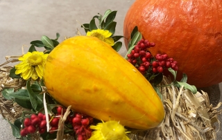 Photo: Pumpkin arrangement of the vacation apartment in Söll Tyrol Austria at the Wilder Kaiser on a last minute vacation with dog